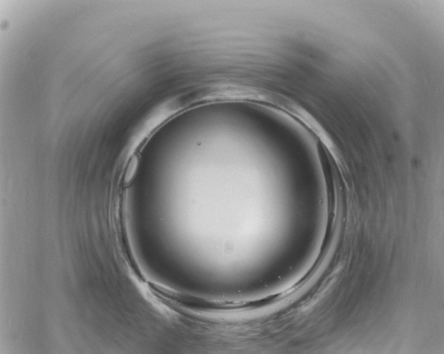 X0000061150909200511210958