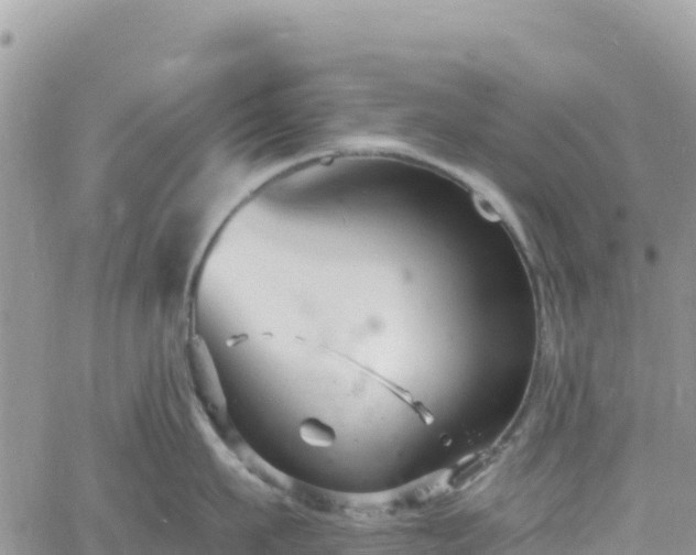 X0000061150911200511210958