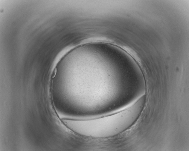 X0000061150912200511210958