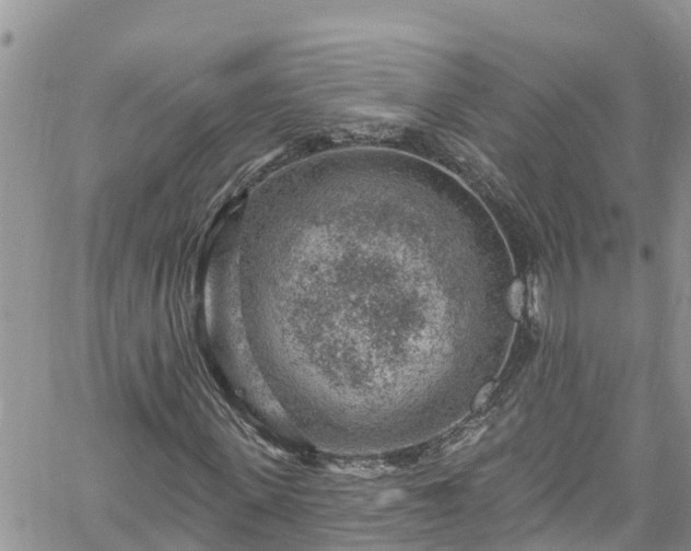 X0000061150915200511210957