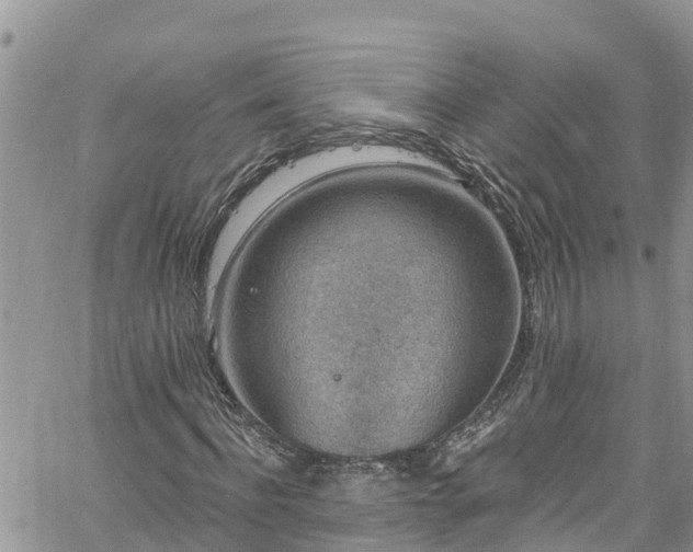 X0000061150916200511210957