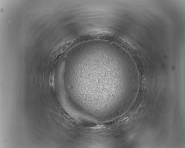 X0000061150917200511210957