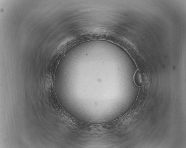 X0000061150918200511210957