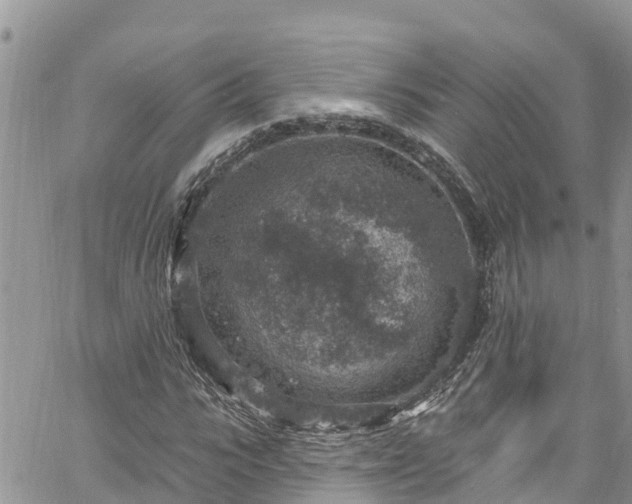 X0000061150919200511210957