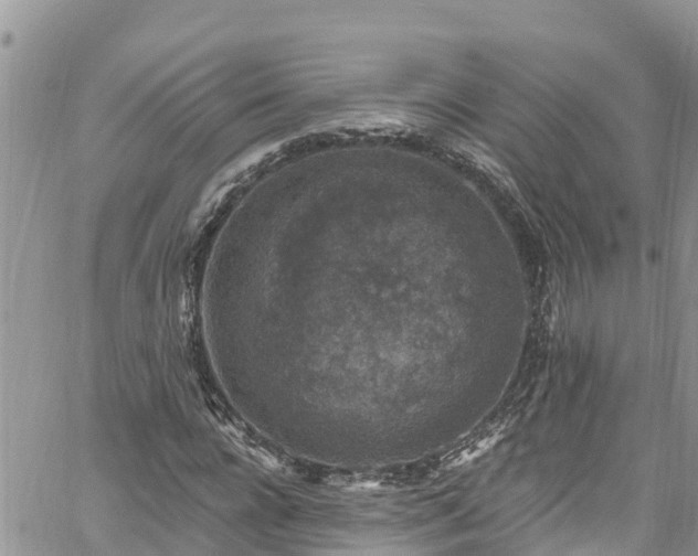 X0000061150920200511210957