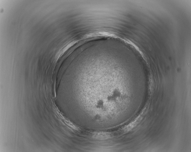 X0000061150921200511210957