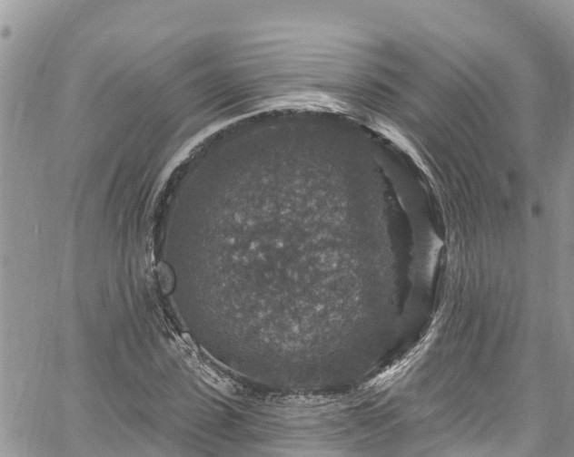 X0000061150923200511210957