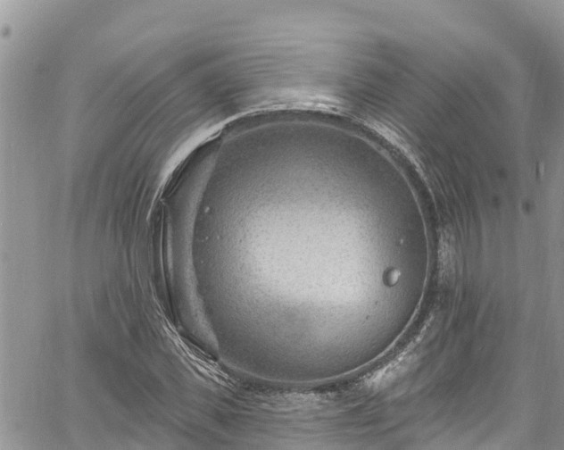 X0000061150925200511210957