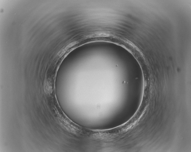 X0000061150929200511210958