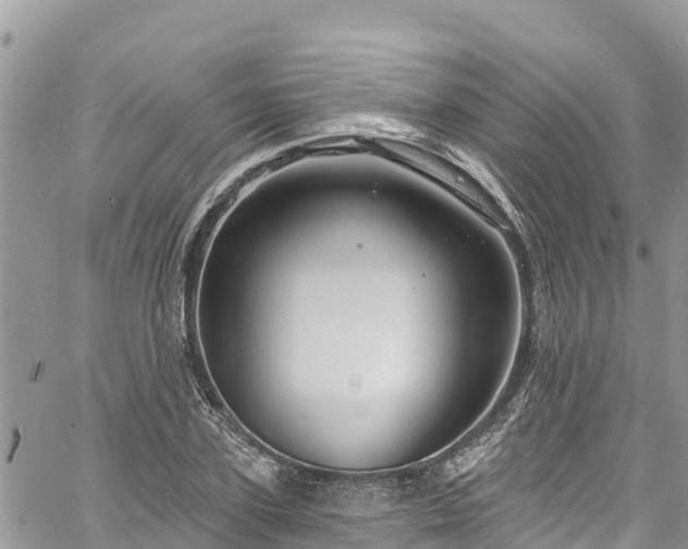 X0000061150931200511210958