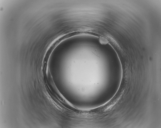 X0000061150932200511210958