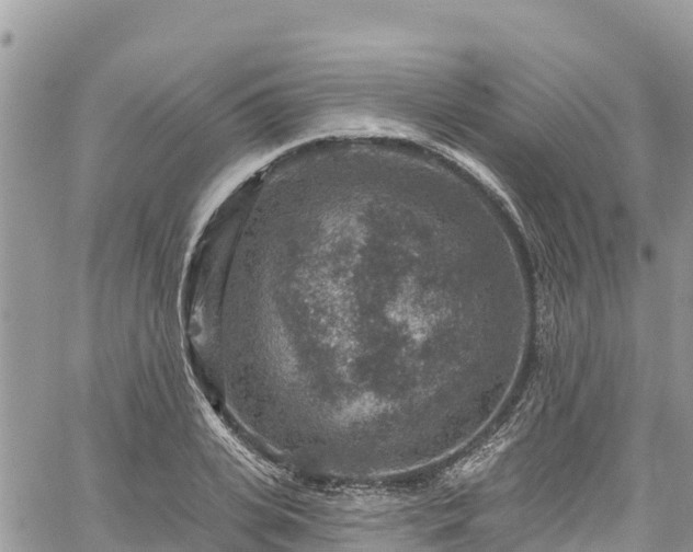 X0000061150935200511210958