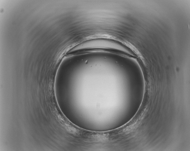 X0000061150937200511210958