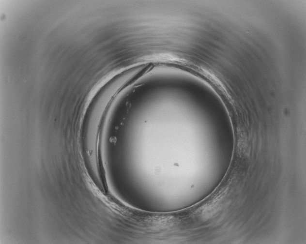 X0000061150939200511210958