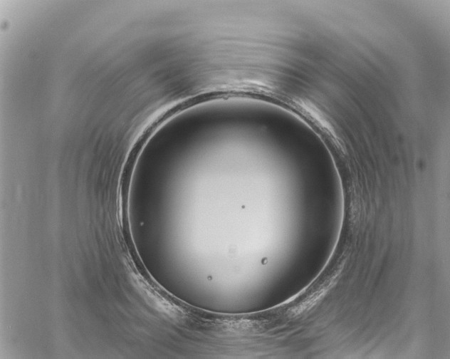 X0000061150940200511210958