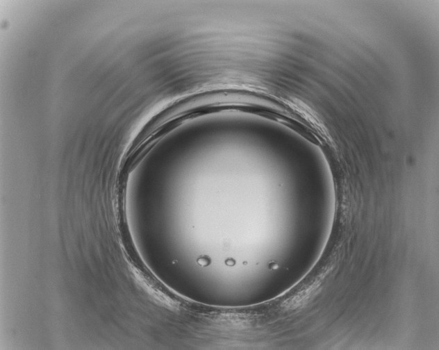 X0000061150942200511210958