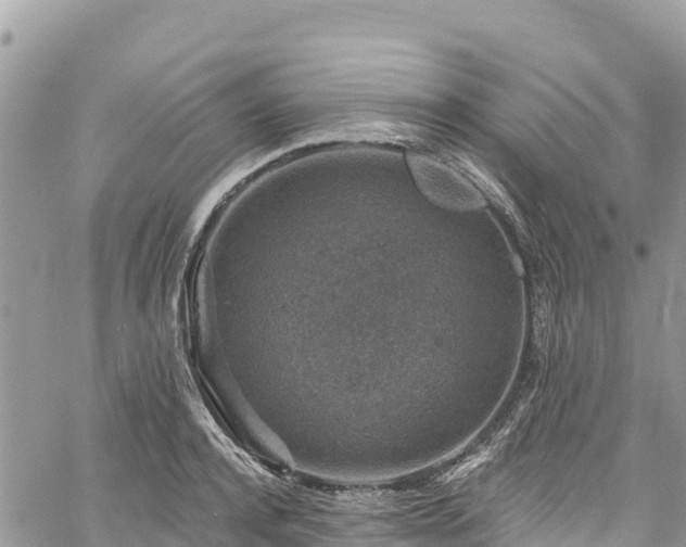 X0000061150944200511210958