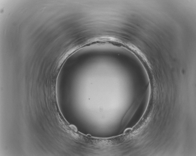 X0000061150945200511210958