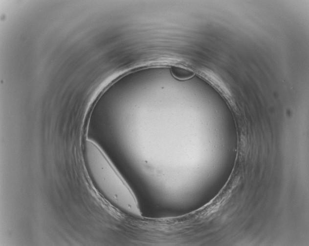 X0000061150948200511210958