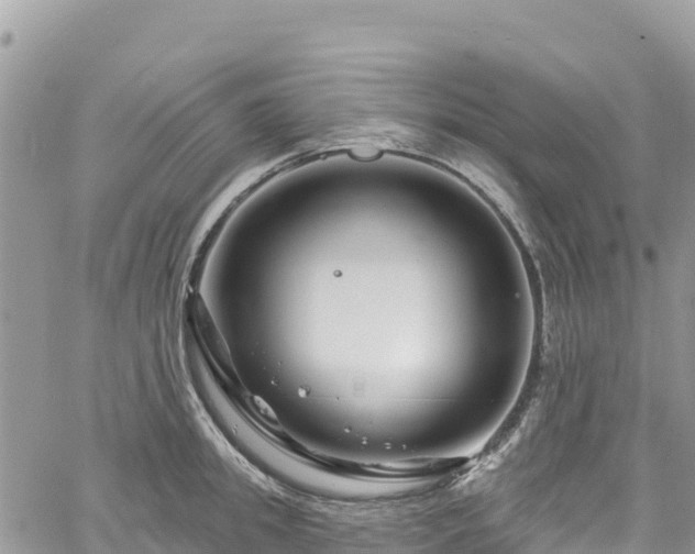 X0000061150949200511210958