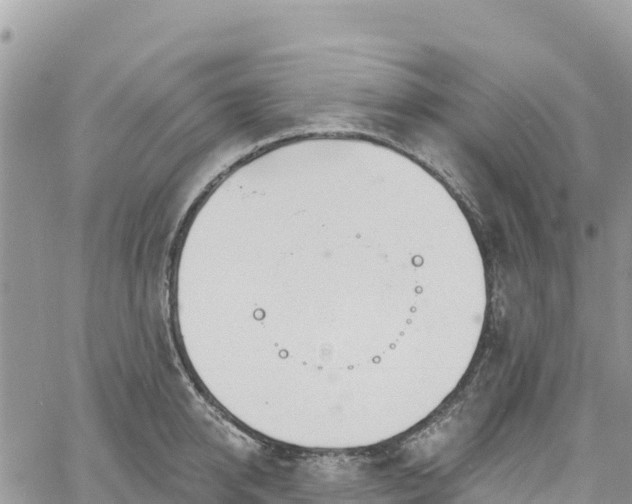 X0000061150950200511210958