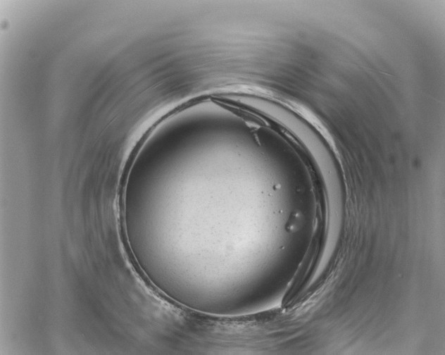 X0000061150951200511210958