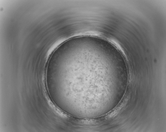 X0000061150952200511210958