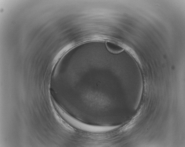 X0000061150954200511210958