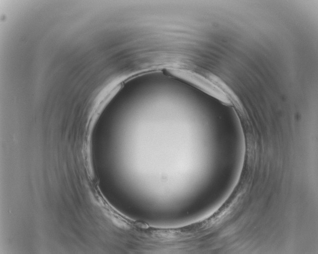 X0000061150956200511210958