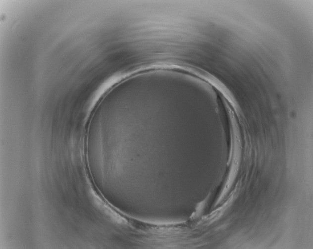 X0000061150958200511210958