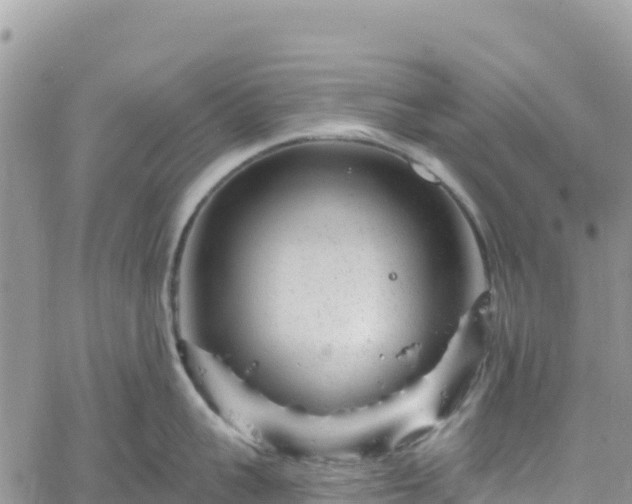 X0000061150959200511210958