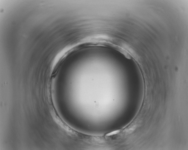 X0000061150960200511210958