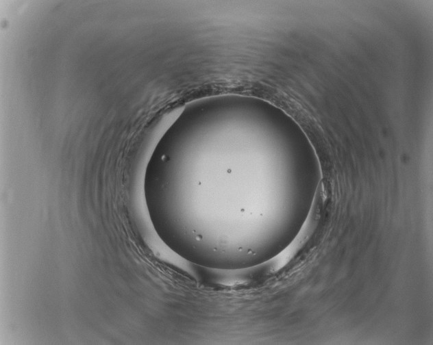 X0000061150961200511210957