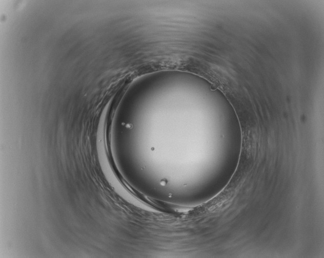 X0000061150962200511210957