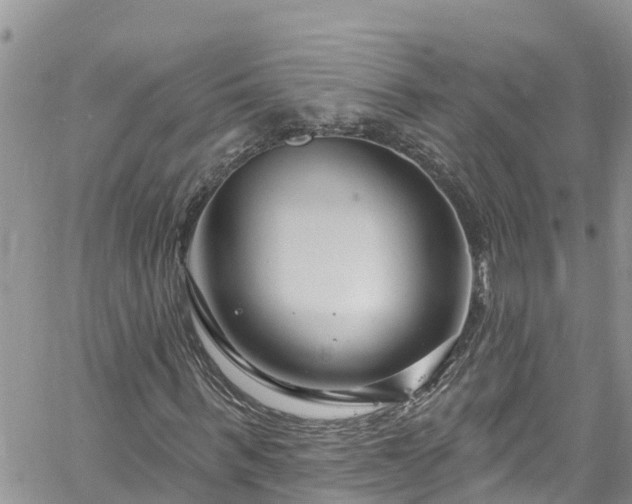 X0000061150963200511210957