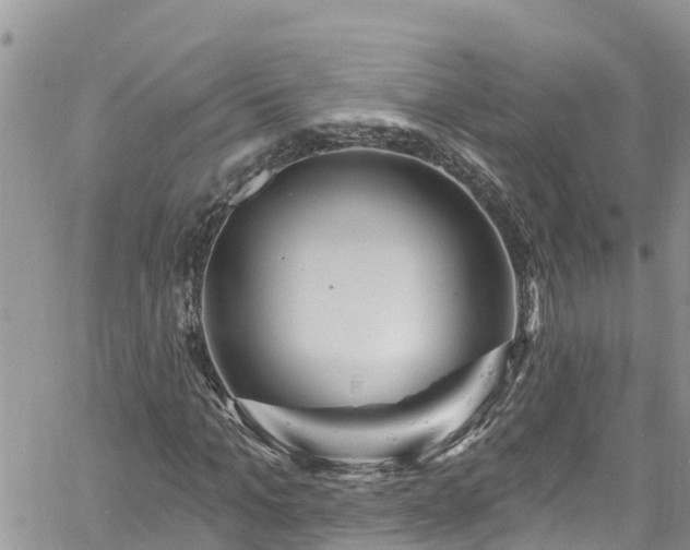 X0000061150965200511210957