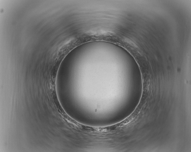 X0000061150966200511210957