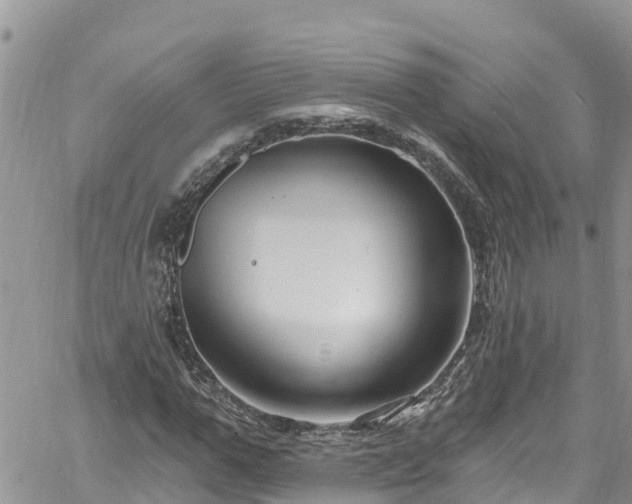 X0000061150967200511210957