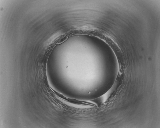 X0000061150968200511210957