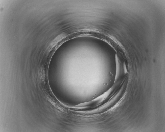 X0000061150969200511210957