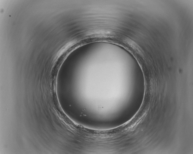 X0000061150970200511210957