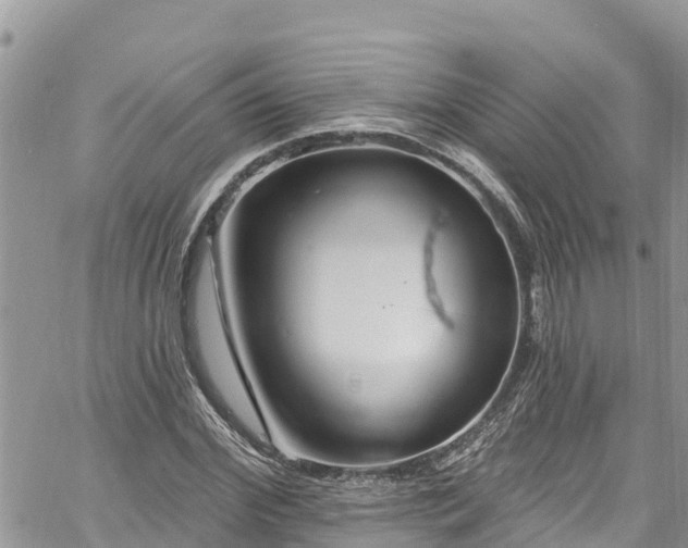 X0000061150972200511210957