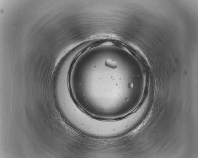 X0000061150973200511210957