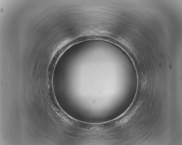 X0000061150974200511210957