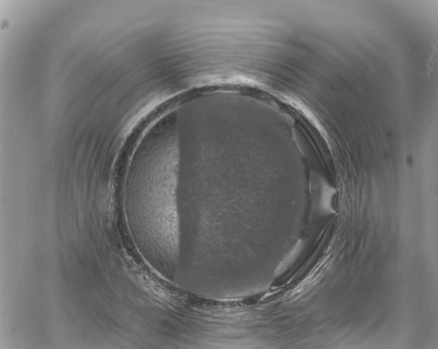 X0000061150975200511210957