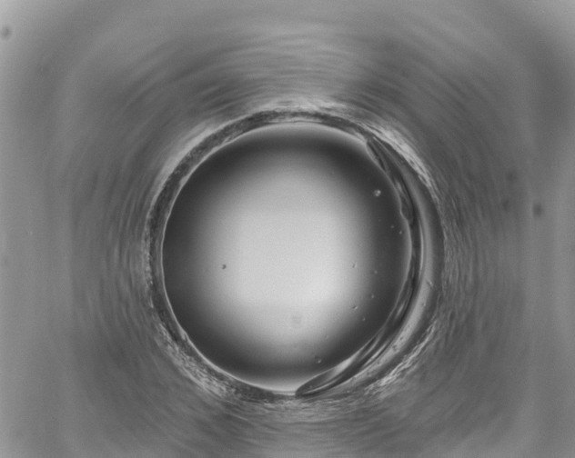 X0000061150976200511210957