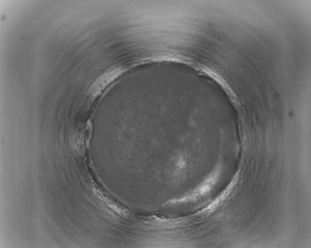 X0000061150977200511210957