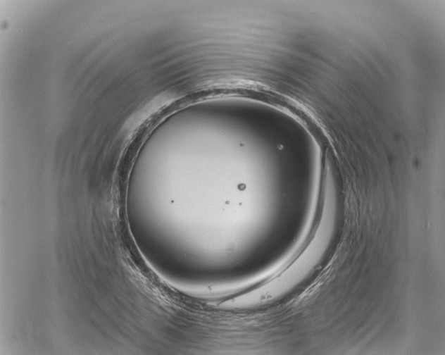 X0000061150979200511210957