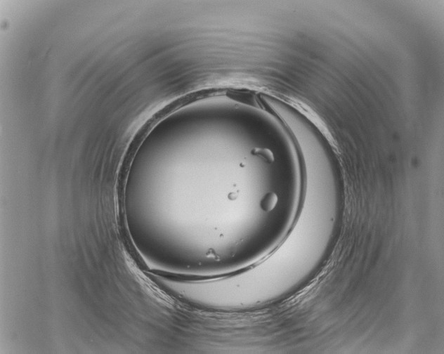 X0000061150980200511210957