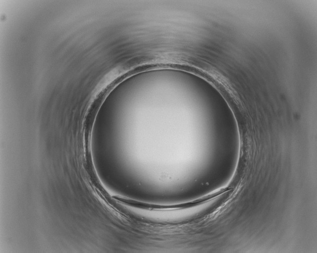 X0000061150982200511210957